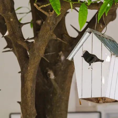 & Bari I -comfort One Bedroom With Balcony And Garden View Preko-5