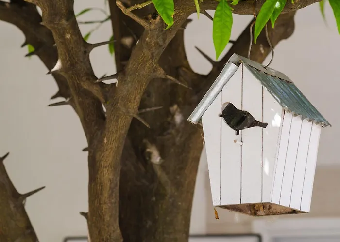 & Bari I -comfort One Bedroom With Balcony And Garden View Preko-5